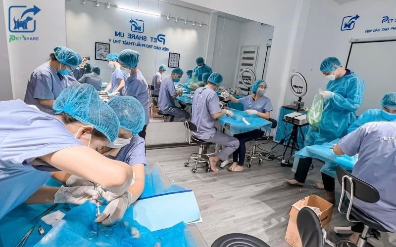 Đội ngũ bác sĩ chuyên nghiệp