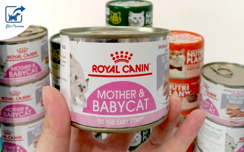 Chất lượng sản phẩm đạt chuẩn