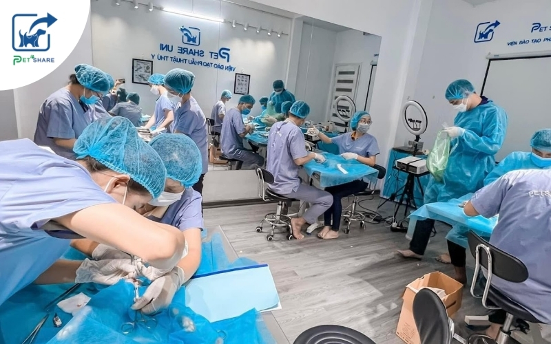 Đội ngũ bác sĩ chuyên sâu về thú y